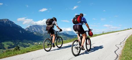 Zwei Radfahrer fahren bei Sonnenschein eine Straße bergauf, Berge und Wiesen im Hintergrund.
