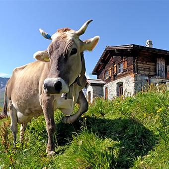 Reisethema Berge - Best Western Hotels Central Europe