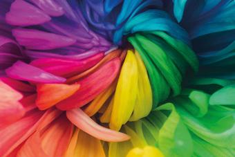 Artfully folded colorful fabrics in flower shape – pink, blue, green, and yellow tones symbolize diversity and hospitality