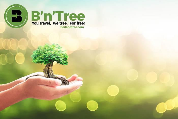 B'n'Tree