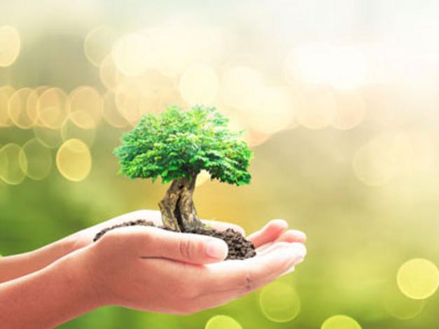 BnTree BnTree