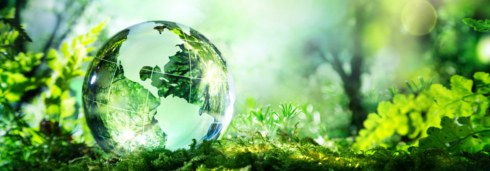 Sustainability at Best Western