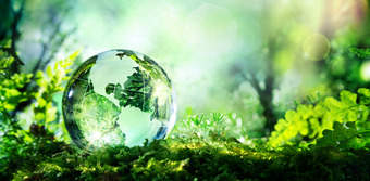 Sustainability at Best Western