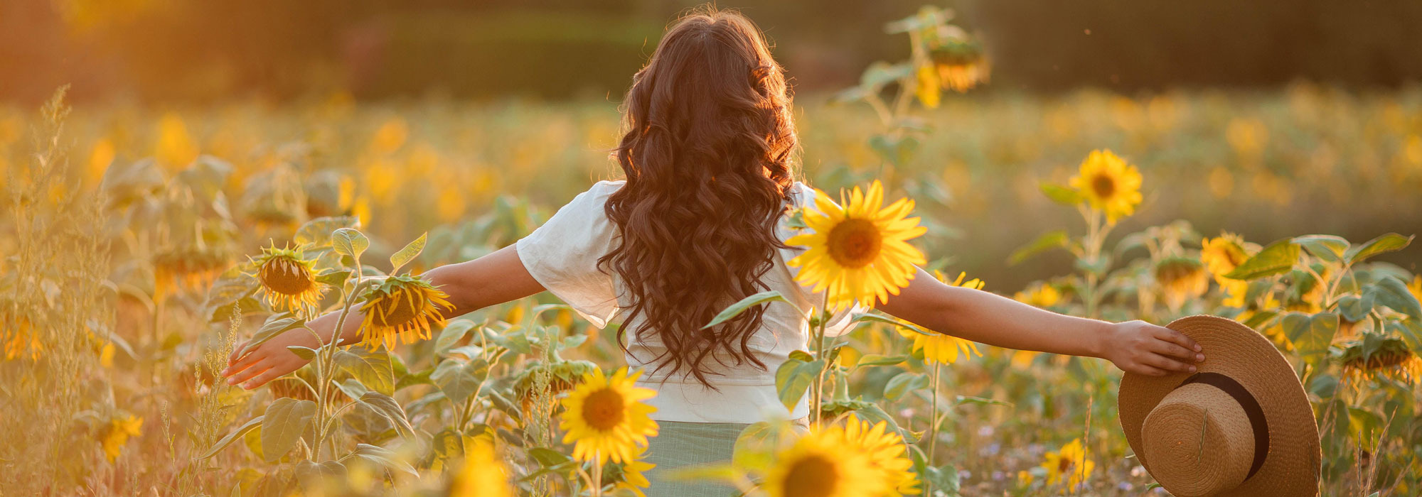 Young woman in a summer sunflower field