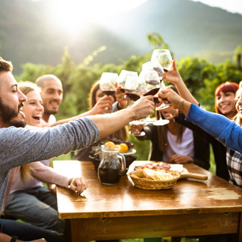 Group of people clinking glasses at a wooden table outdoors, surrounded by nature with mountains and greenery in the background.