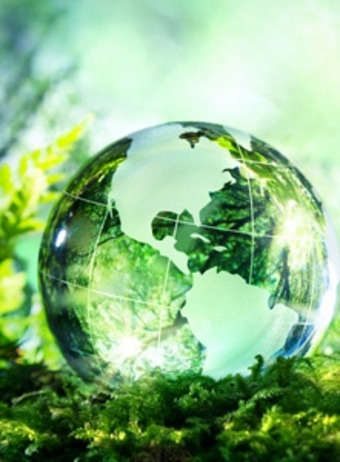 Transparent globe with continents rests on green foliage in sunlight – symbolizes environmental awareness and global sustainability