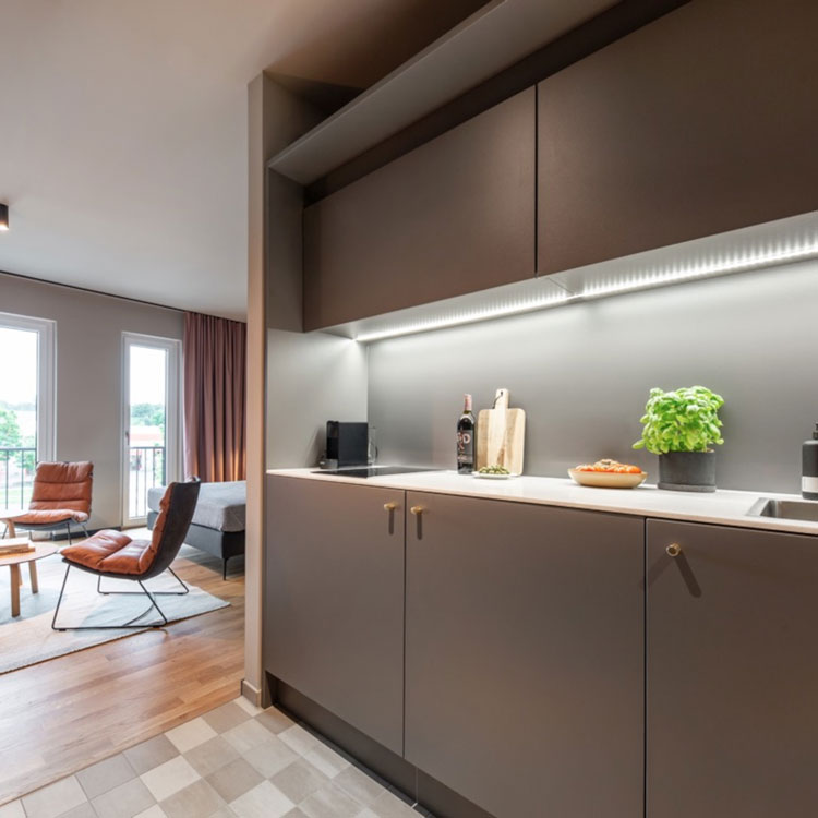 Moderne K&uuml;chenzeile mit grauen Schr&auml;nken, Kr&auml;utertopf und Blick ins Wohnzimmer.