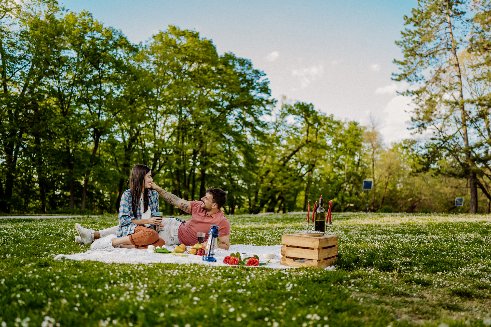 Picknick im Park auf grüner Wiese