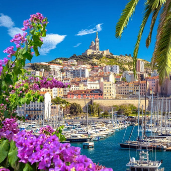 Blühende Pflanzen und Jachthafen vor farbenfroher Stadtkulisse am Hügel.