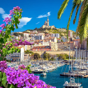 Blooming flowers and marina with a colorful hillside cityscape.